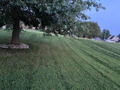Lawn Care service in Spring Hill, 37174