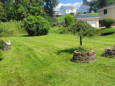 Lawn Care service in McKees Rocks, 15136