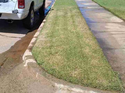 Lawn Care service in Laredo, 78040