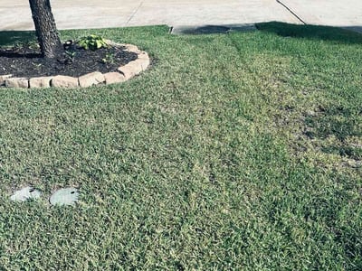 Lawn Care service in Laredo, 78040