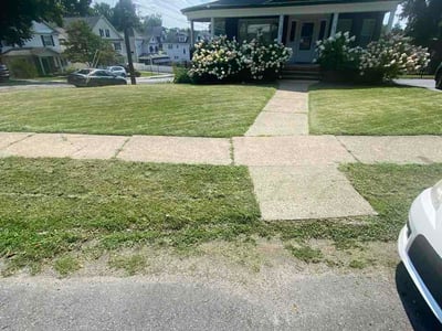 Lawn Care service in Scranton, 18503