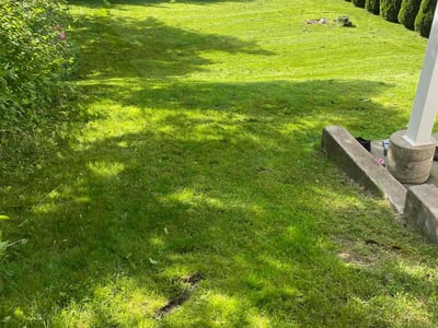 Lawn Care service in Scranton, 18503