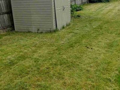Lawn Care service in Ottawa, 61350