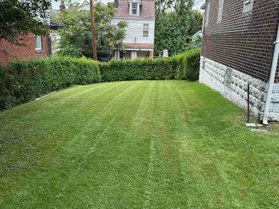 Lawn Care service in Beaver Falls, 15010