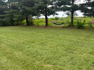 Lawn Care service in Ottawa, 61350