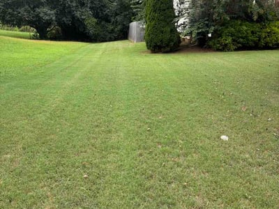 Lawn Care service in Joplin, 64801