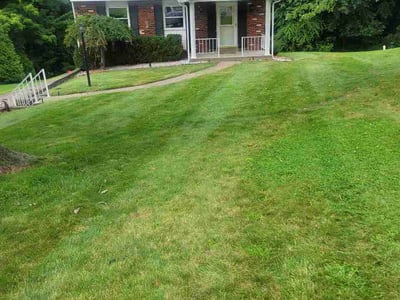 Lawn Care service in Coraopolis, 15108