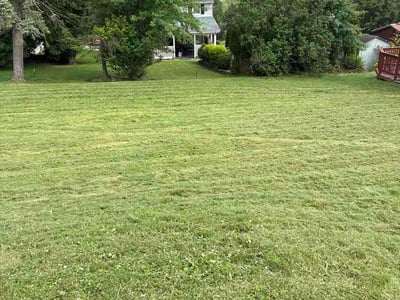 Lawn Care service in Coraopolis, 15108