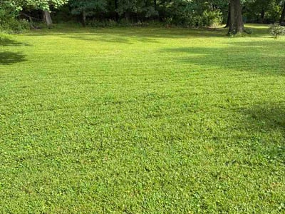 Lawn Care service in Bethel Park, 15102