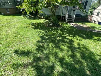 Lawn Care service in Hampstead, 21074