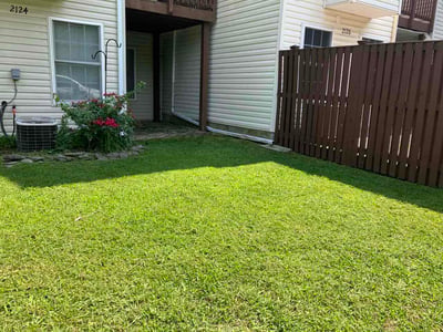 Lawn Care service in Edgewater, 21037