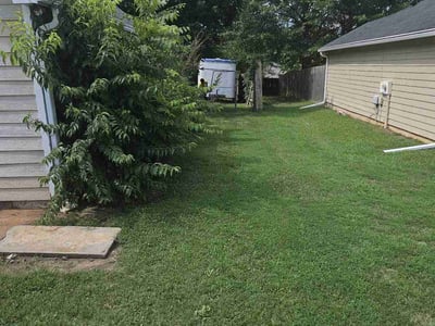 Lawn Care service in Bakersfield, 93301