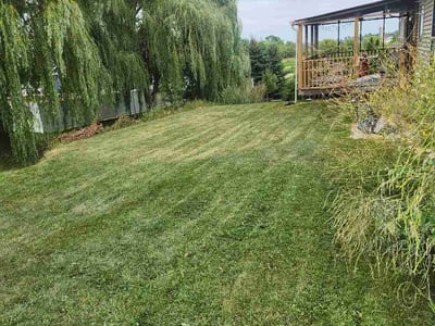 Lawn Care service in Eau Claire, 54701