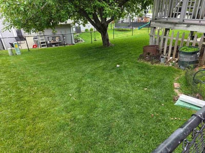 Lawn Care service in Bellevue, 68005