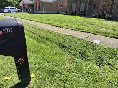Lawn Care service in Canonsburg, 15317