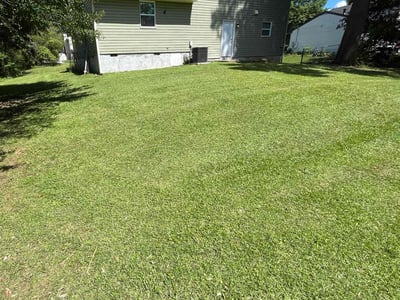 Lawn Care service in Ellenwood, 30294