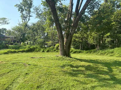 Lawn Care service in Madison, 37115