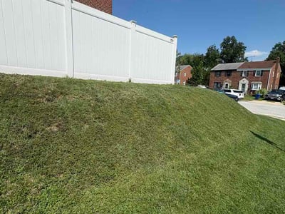 Lawn Care service in Joppa, 21085