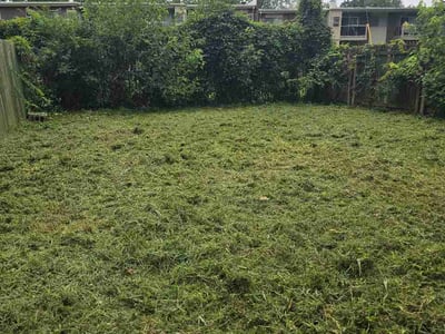 Lawn Care service in Joppa, 21085