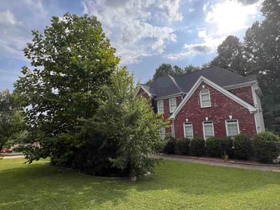 Lawn Care service in Ellenwood, 30294