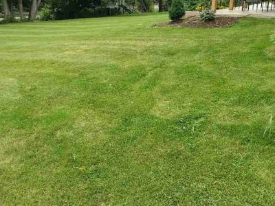 Lawn Care service in Normal, 61761