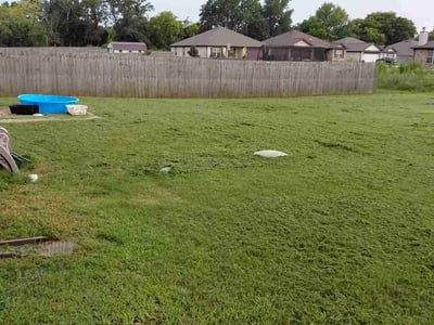 Lawn Care service in Toney, 35773