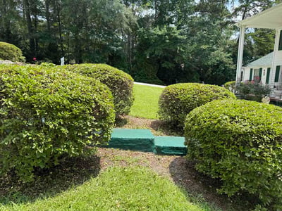 Lawn Care service in New Brunswick, 08901