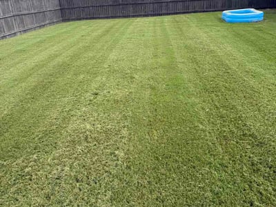 Lawn Care service in Toney, 35773