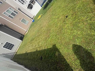Lawn Care service in Aberdeen, 21001