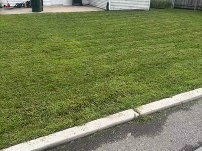 Lawn Care service in Cedar Falls, 50613