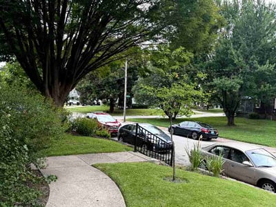 Lawn Care service in Duquesne, 15110
