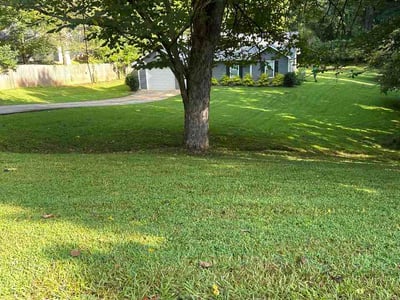Lawn Care service in Monroe, 30655