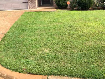 Lawn Care service in Montevallo, 35115