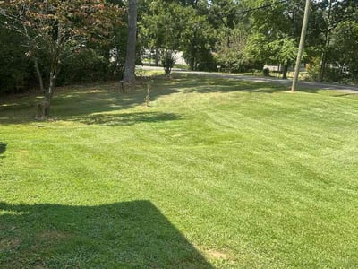 Lawn Care service in Montevallo, 35115