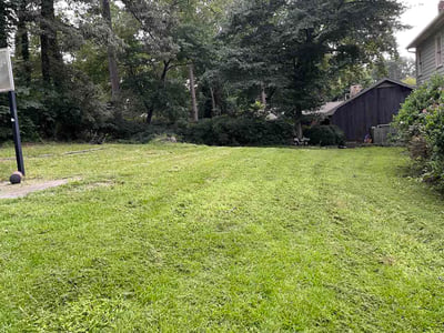 Lawn Care service in Stone Mountain, 30083