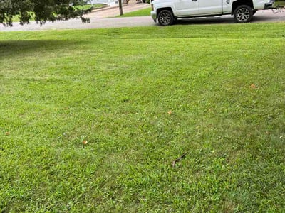 Lawn Care service in Bloomington, 61701