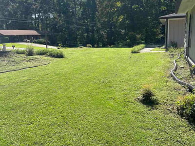 Lawn Care service in Riverdale, 30274