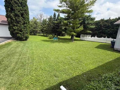 Lawn Care service in Menasha, 54952