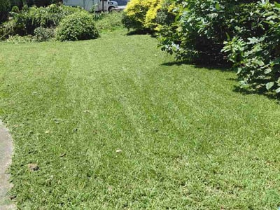 Lawn Care service in Grayson, 30017