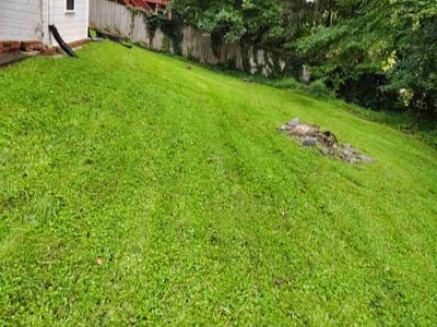 Lawn Care service in Tucker, 30084