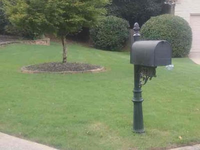 Lawn Care service in Suwanee, 30024
