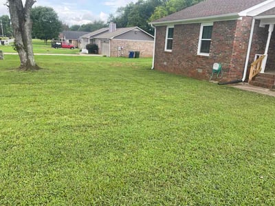 Lawn Care service in Hazel Green, 35750