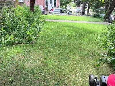 Lawn Care service in Springfield, 19064