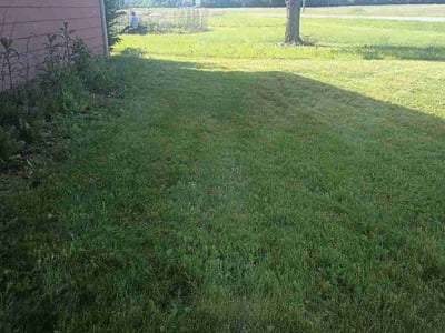 Lawn Care service in Beaver, 15009