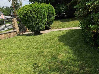 Lawn Care service in Hackensack, 07601