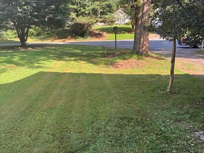 Lawn Care service in Rex, 30273
