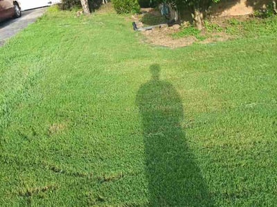 Lawn Care service in Homewood, 35209