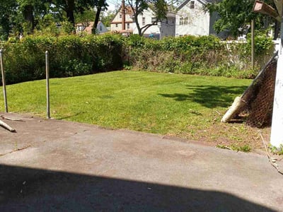 Lawn Care service in Englewood, 07631