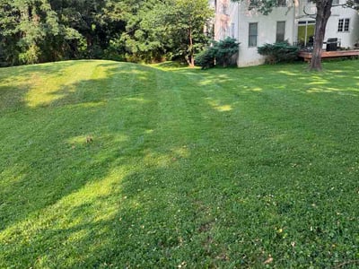 Lawn Care service in West Chester, 19380