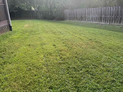 Lawn Care service in Oneonta, 35121